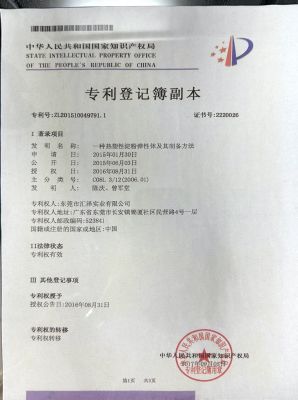 專(zhuān)利登記簿副本